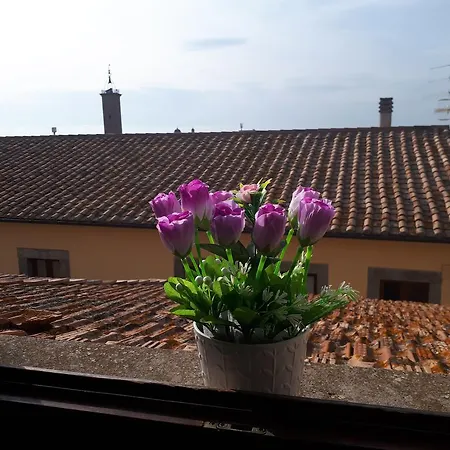 Clockwise Витербо